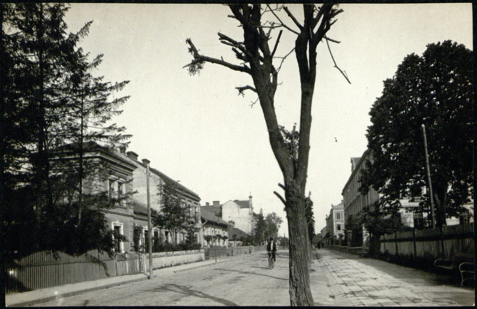 Edward Janusz (Rzeszów) – willowa ulica (aleja) z zabudową rezydencjonalną, scena uliczna, pocztówka fotograficzna